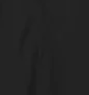 Bronson Skirt - Tar