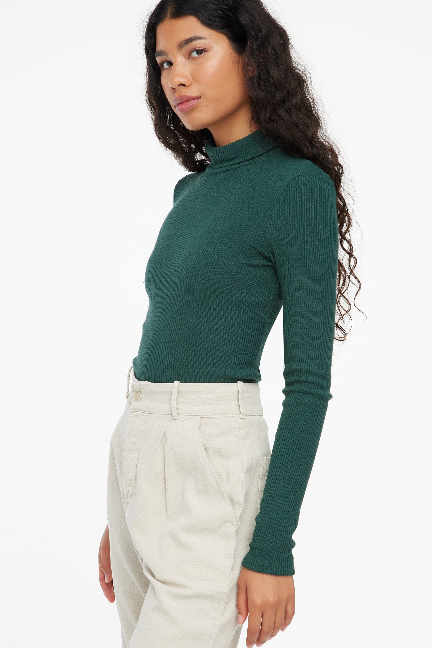 Sweater Rib Turtleneck - Absynthe